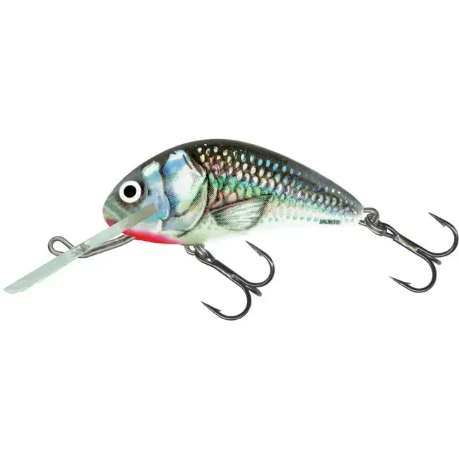 Vobler SALMO Hornet Sinking, Real Dace, 6cm, 14g Ofertă limitată