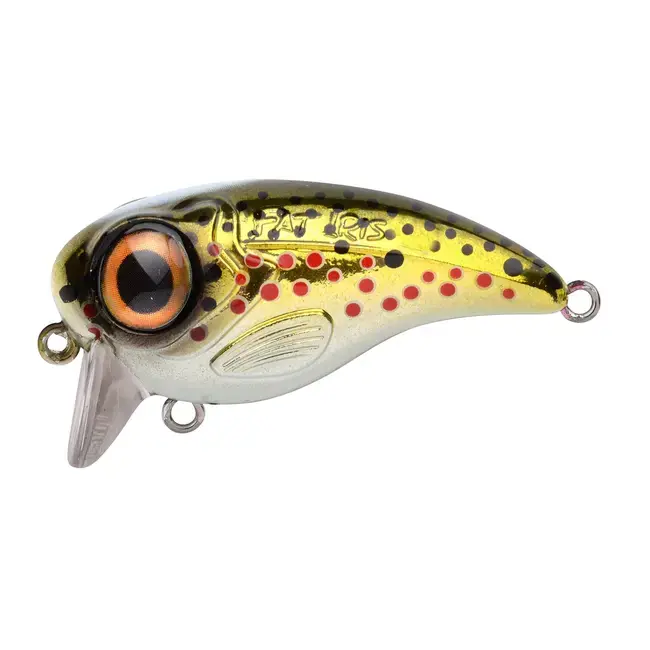 Vobler Spro Fat IRIS ,Brown Trout, 5cm, 10g Vezi acum