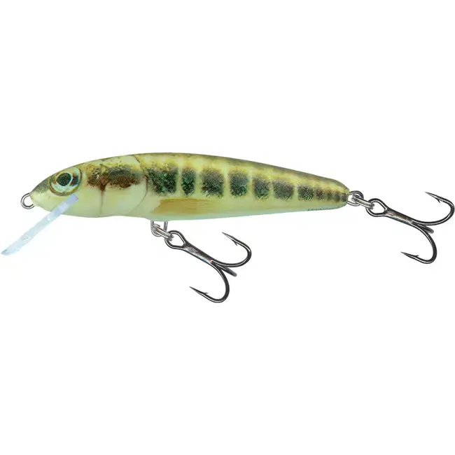 Popular Vobler Salmo Minnow Floating, 6cm 4g, Minnow