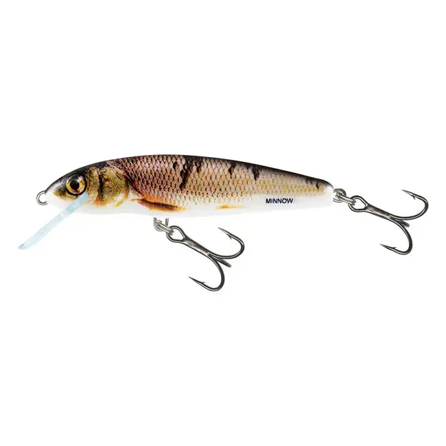 Chilipir Vobler Salmo Minnow Sinking, Wounded Dace, 7cm, 8g
