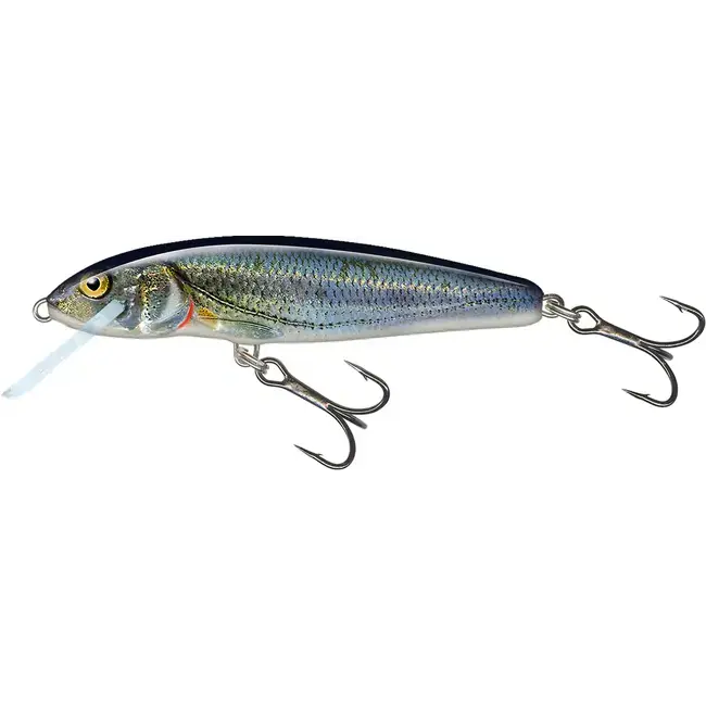 Chilipir Vobler Salmo Minnow Floating, 7cm 6g, Spirlin