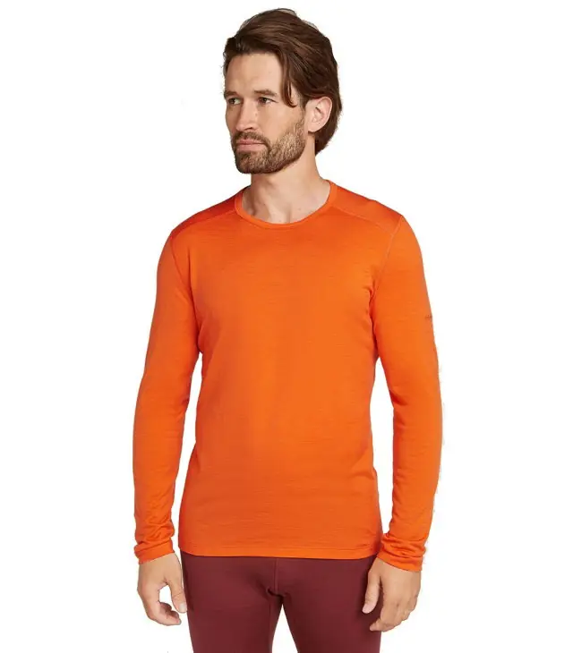 Expediere rapidă Tricou ICEBREAKER M 200 OASIS LS CREWE Man