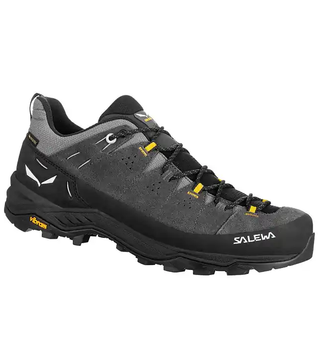 Pantofi SALEWA ALP TRAINER 2 GTX M Man Vezi acum