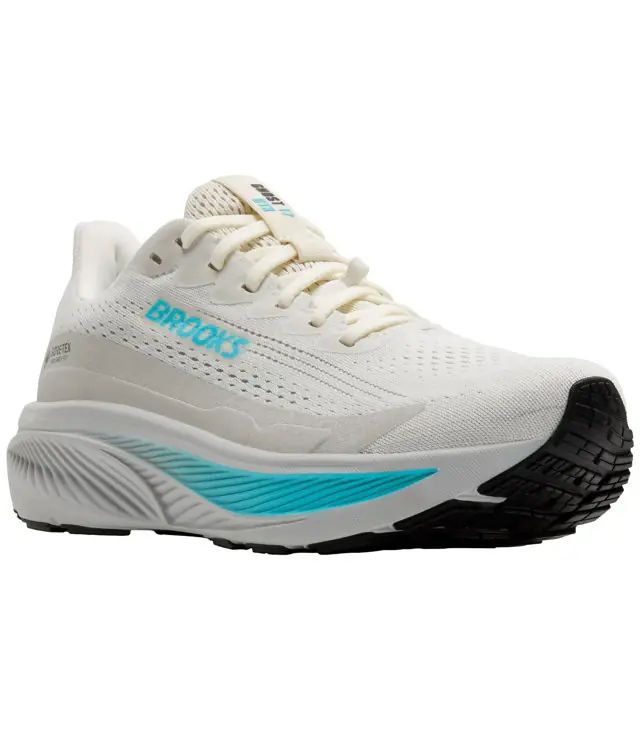 Premium Pantofi BROOKS GHOST 17 GTX W Lady