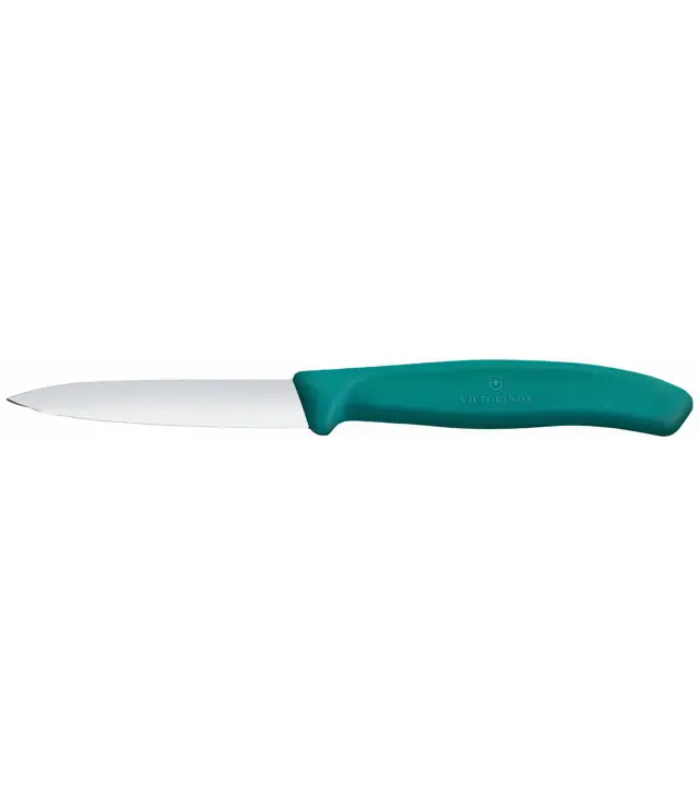 Cuțit VICTORINOX SWISS CLASSIC PARING KNIFE 8CM STRAIGHT Uni Nu rata