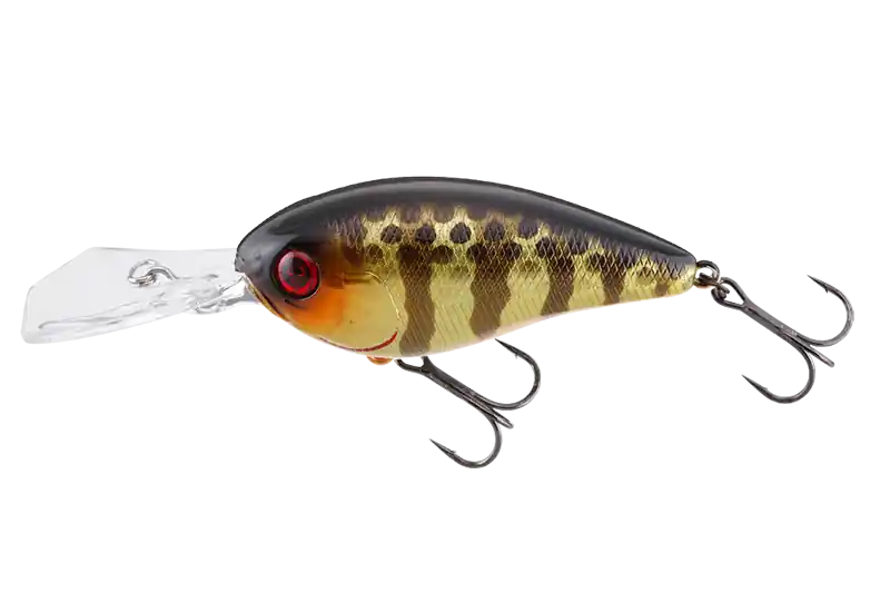 Disponibil imediat VOBLER JACKALL DIGLE3+ 6,6CM/16,4G SK CHAMP. GOLD GILL